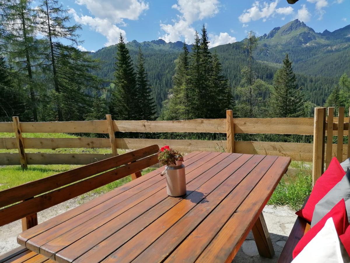 Villa Ampferkaralm Hütte Forstau  Exterior foto