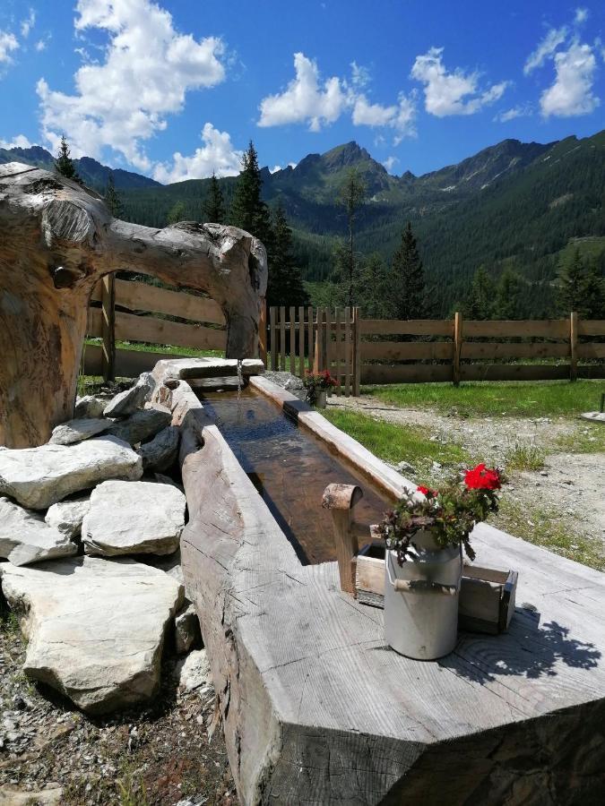 Villa Ampferkaralm Hütte Forstau  Exterior foto